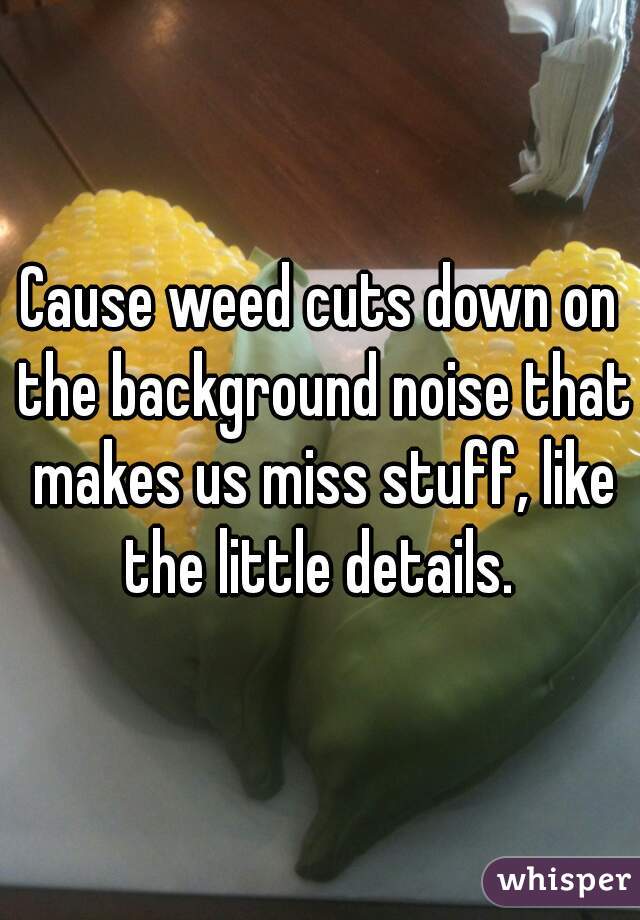 Cause weed cuts down on the background noise that makes us miss stuff, like the little details. 