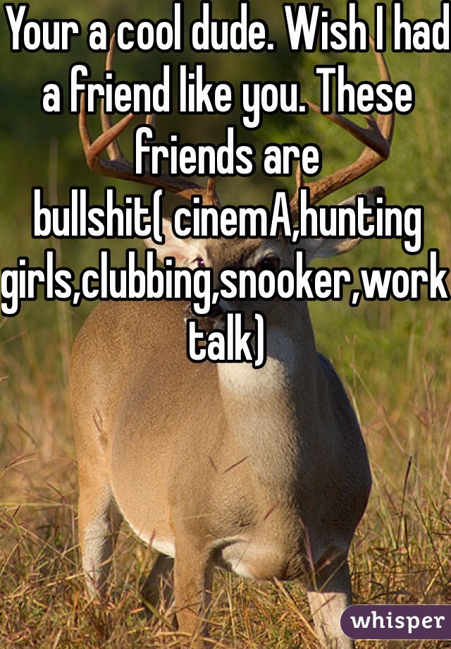 Your a cool dude. Wish I had a friend like you. These friends are bullshit( cinemA,hunting girls,clubbing,snooker,work talk)