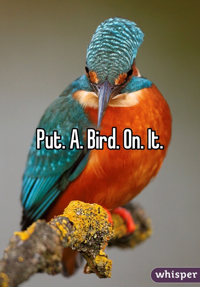 Put. A. Bird. On. It. 