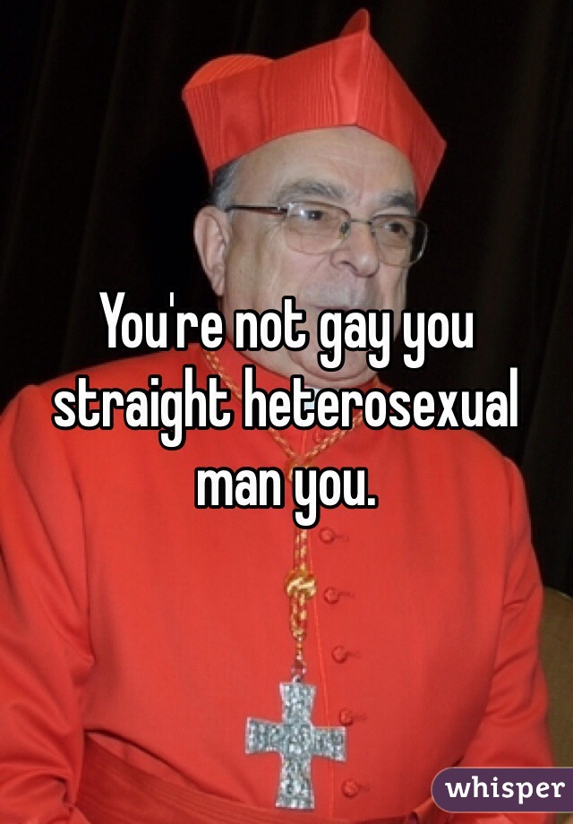 You're not gay you straight heterosexual man you.