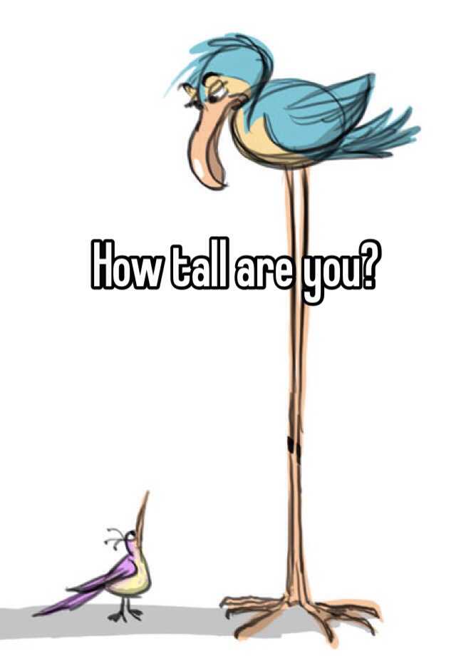 how-tall-are-you