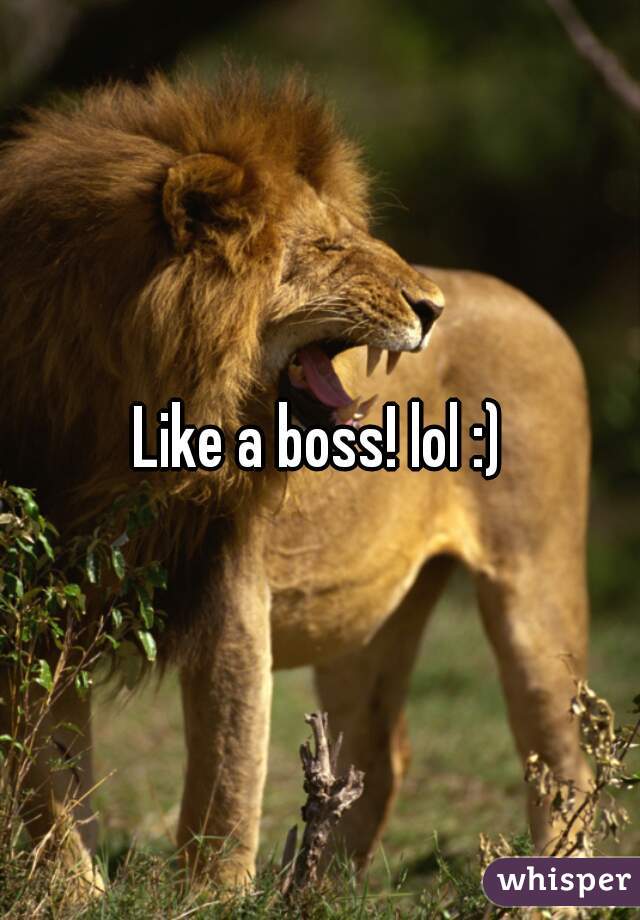 Like a boss! lol :)