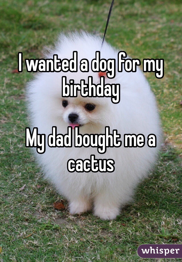 I wanted a dog for my birthday

My dad bought me a cactus