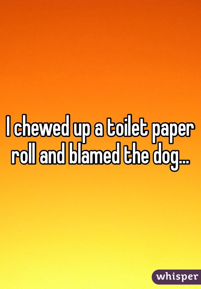 I chewed up a toilet paper roll and blamed the dog...