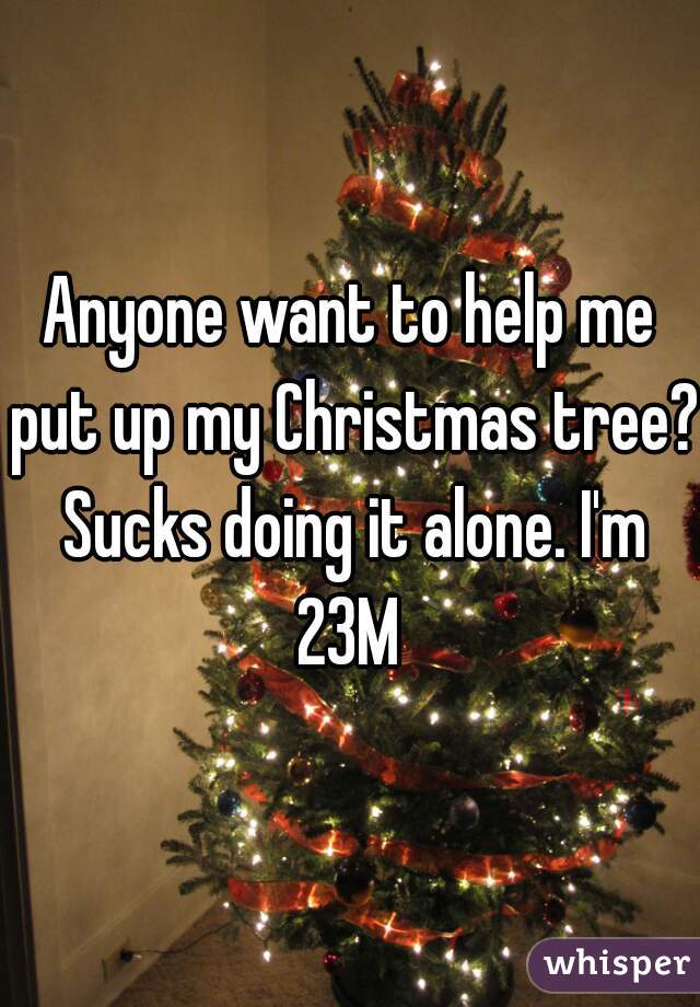 Anyone want to help me put up my Christmas tree? Sucks doing it alone. I'm 23M 