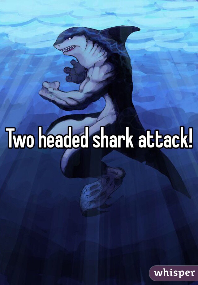 Two headed shark attack!