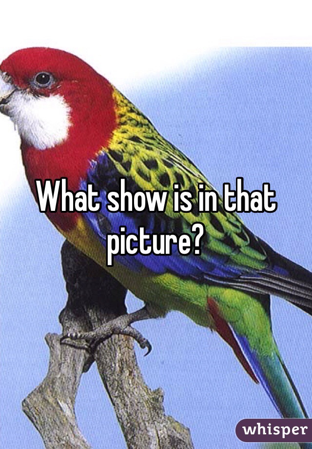 What show is in that picture?