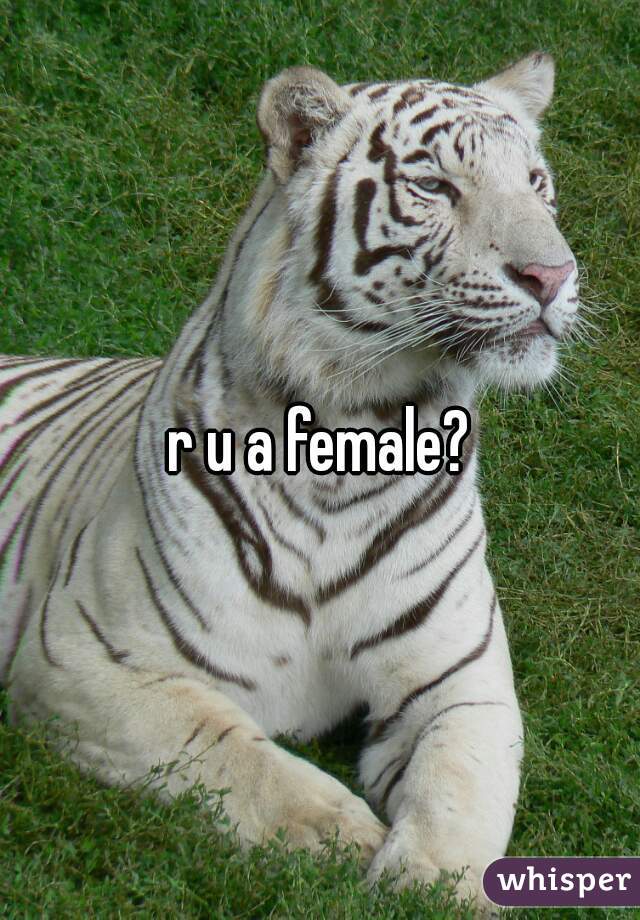 r u a female?