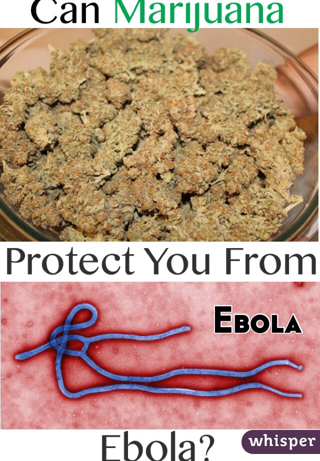 Ebola