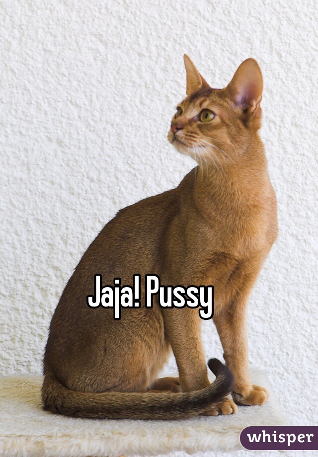 Jaja! Pussy