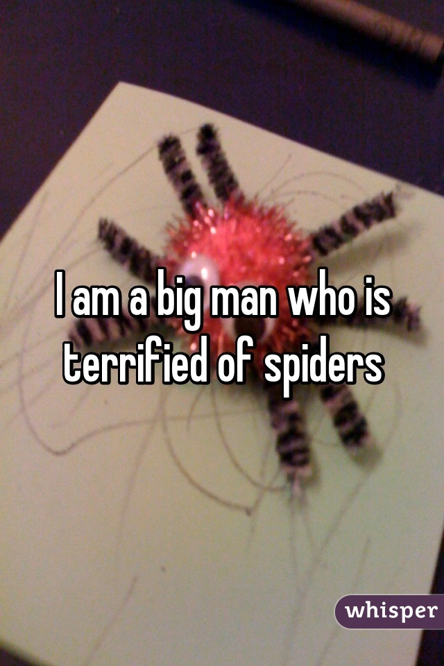 I am a big man who is terrified of spiders