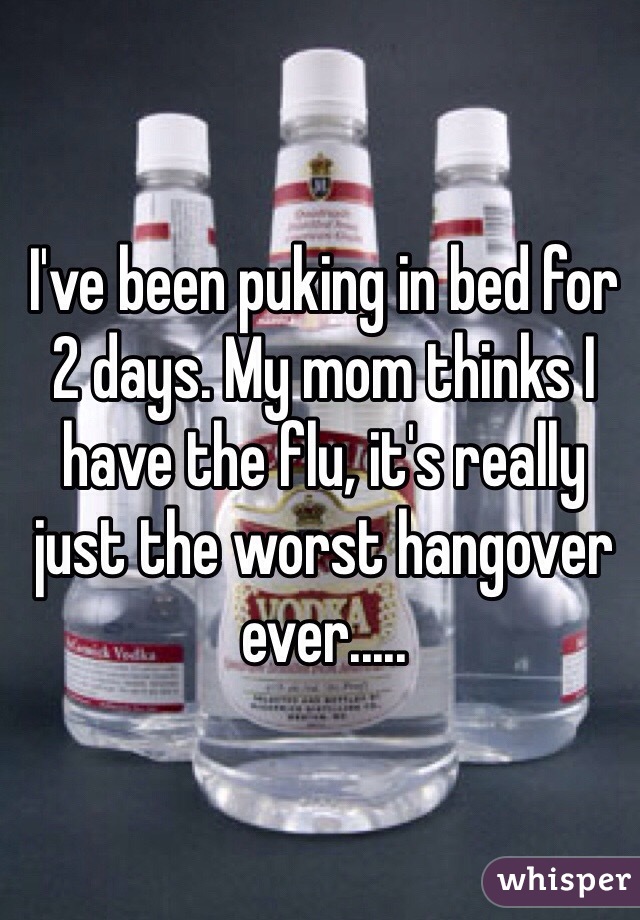 I've been puking in bed for 2 days. My mom thinks I have the flu, it's really just the worst hangover ever.....