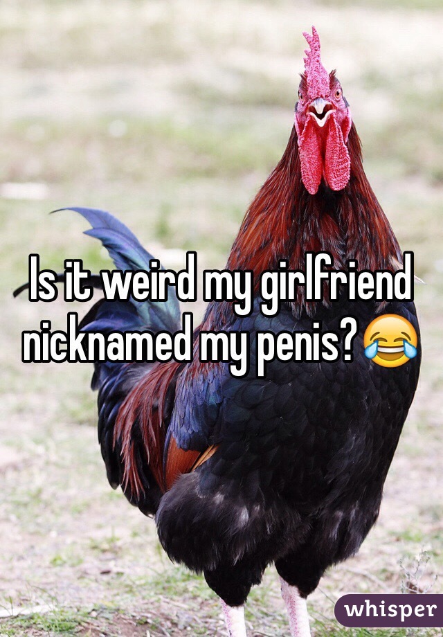 Is it weird my girlfriend nicknamed my penis?😂
