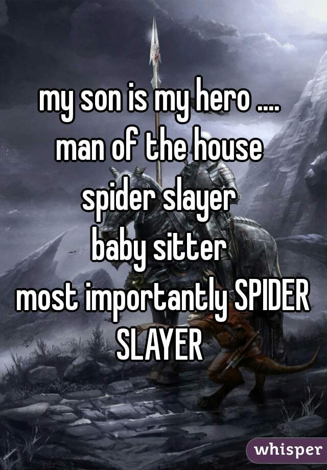 my son is my hero .... 
man of the house 
spider slayer 
baby sitter 
most importantly SPIDER SLAYER  