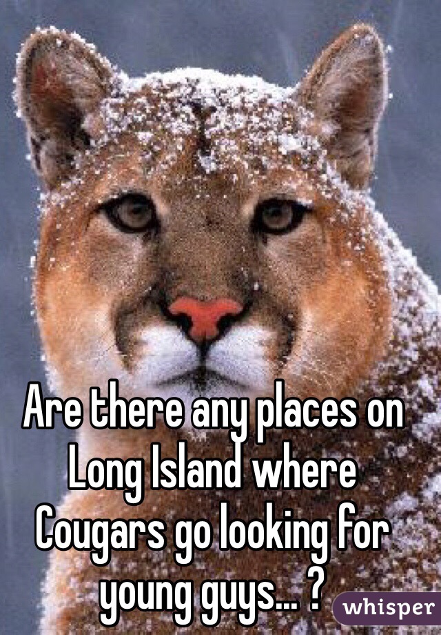 Are there any places on Long Island where Cougars go looking for young guys... ?