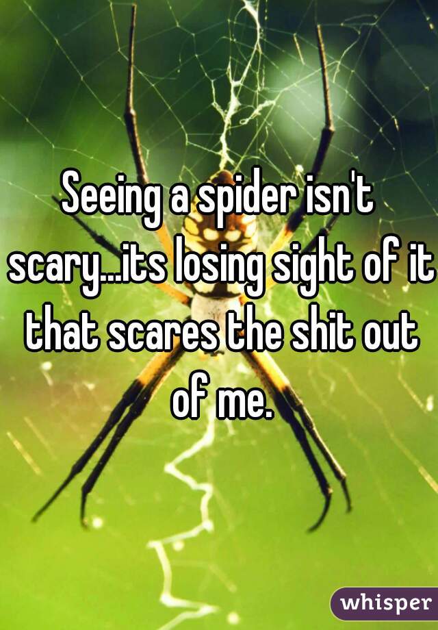 Seeing a spider isn't scary...its losing sight of it that scares the shit out of me.