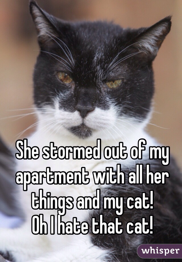 She stormed out of my apartment with all her things and my cat!
Oh I hate that cat! 