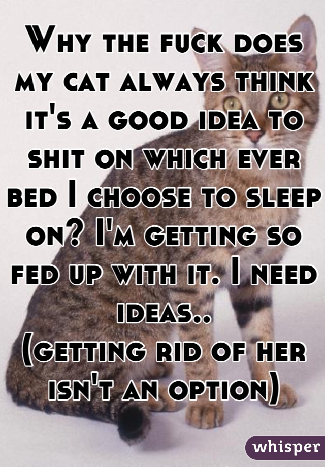 Why the fuck does my cat always think it's a good idea to shit on which ever bed I choose to sleep on? I'm getting so fed up with it. I need ideas.. 
(getting rid of her isn't an option)