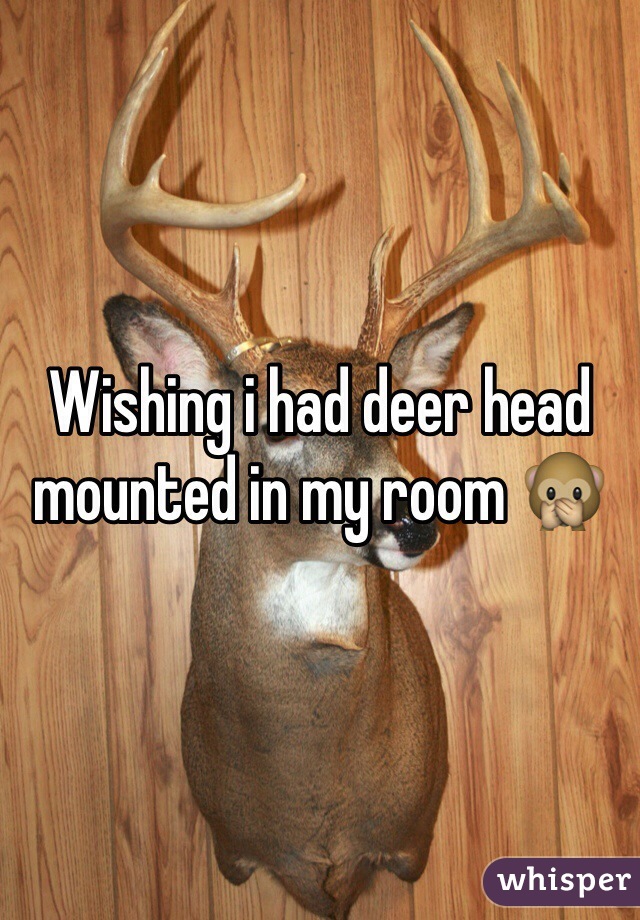 Wishing i had deer head mounted in my room 🙊 