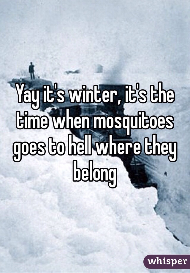 Yay it's winter, it's the time when mosquitoes goes to hell where they belong 