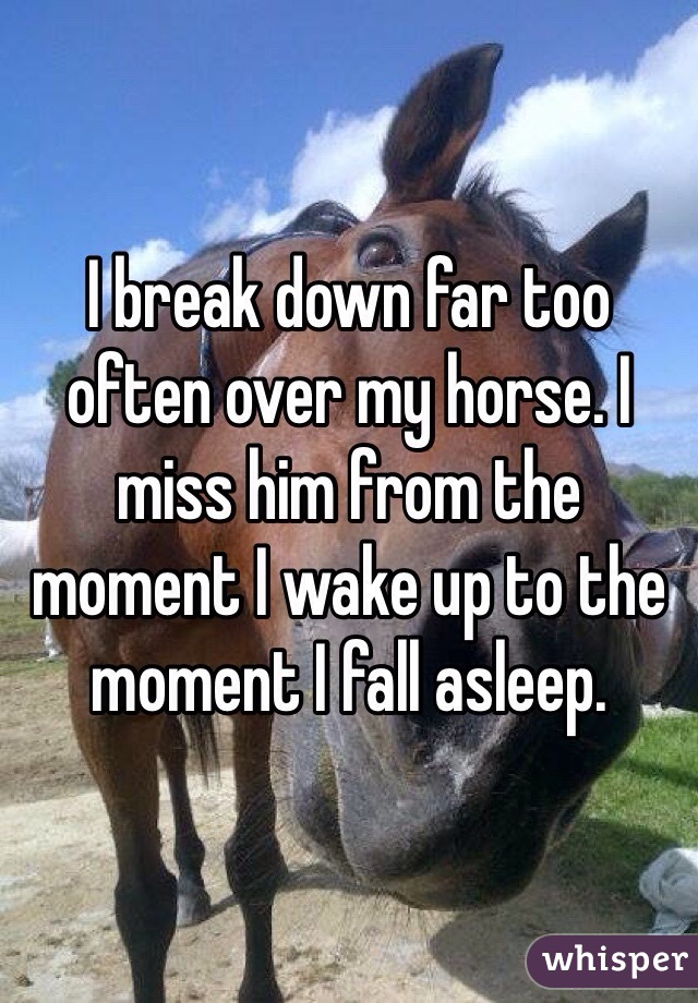 I break down far too often over my horse. I miss him from the moment I wake up to the moment I fall asleep. 