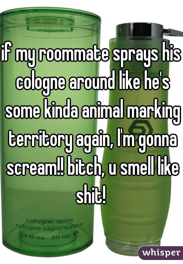 if my roommate sprays his cologne around like he's some kinda animal marking territory again, I'm gonna scream!! bitch, u smell like shit! 