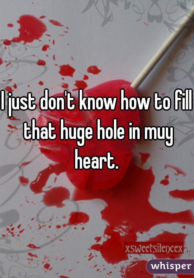 I just don't know how to fill that huge hole in muy heart. 