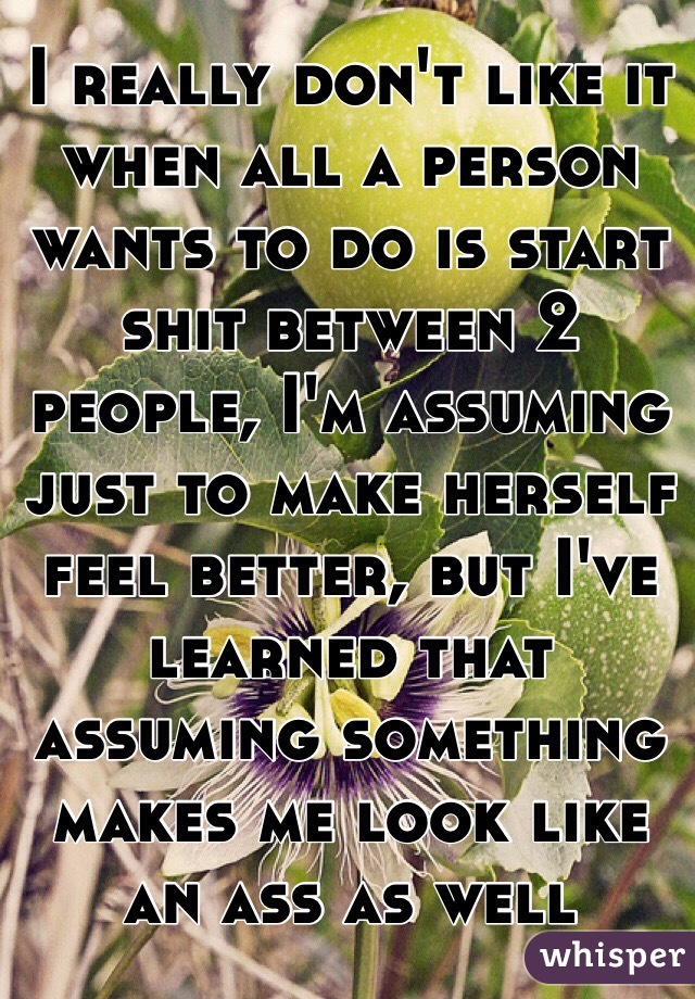 I really don't like it when all a person wants to do is start shit between 2 people, I'm assuming just to make herself feel better, but I've learned that assuming something makes me look like an ass as well 