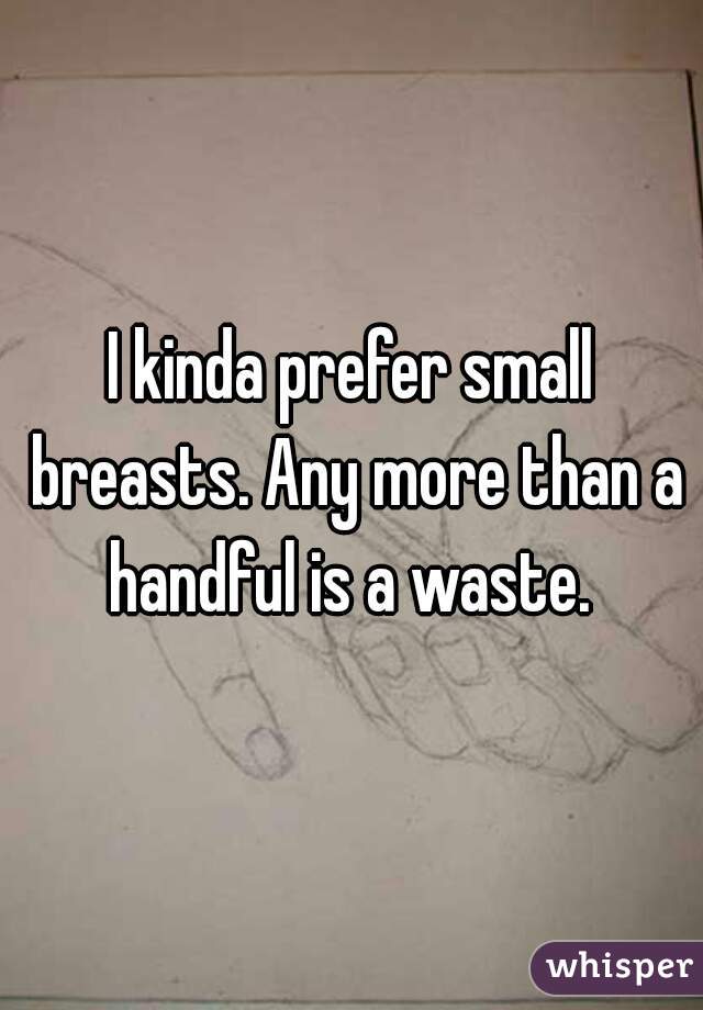 I kinda prefer small breasts. Any more than a handful is a waste. 