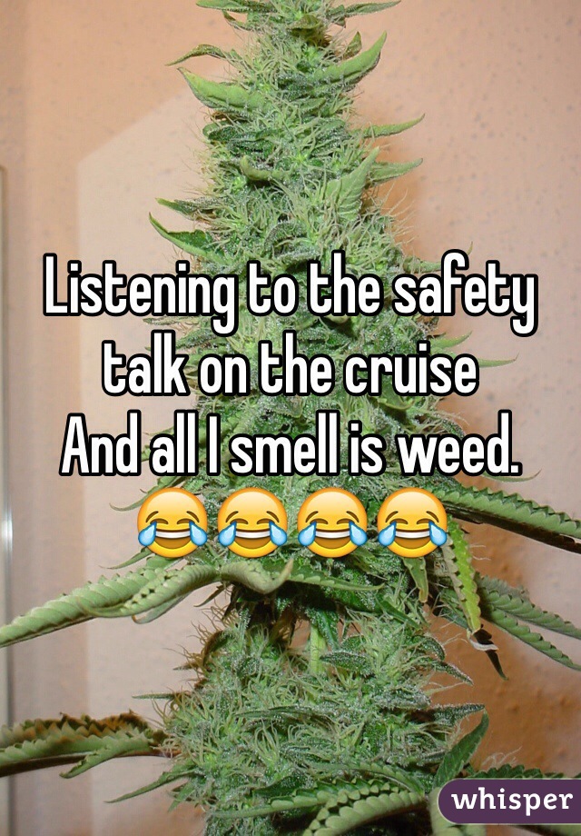 Listening to the safety talk on the cruise
And all I smell is weed. 
😂😂😂😂