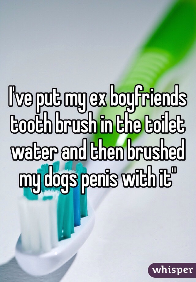 I've put my ex boyfriends tooth brush in the toilet water and then brushed my dogs penis with it"