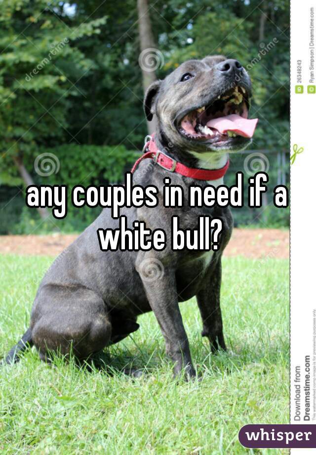 any couples in need if a white bull?