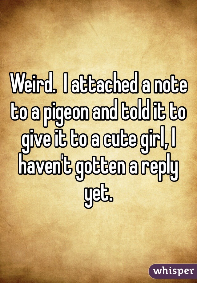 Weird.  I attached a note to a pigeon and told it to give it to a cute girl, I haven't gotten a reply yet. 
