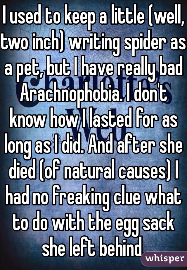 I used to keep a little (well, two inch) writing spider as a pet, but I have really bad Arachnophobia. I don't know how I lasted for as long as I did. And after she died (of natural causes) I had no freaking clue what to do with the egg sack she left behind. 