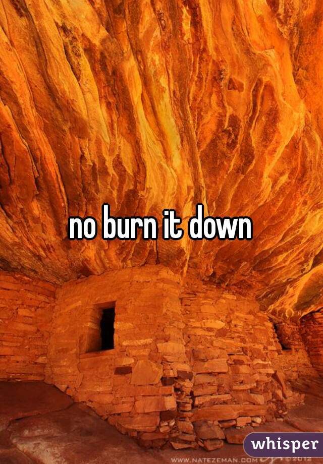 no burn it down
