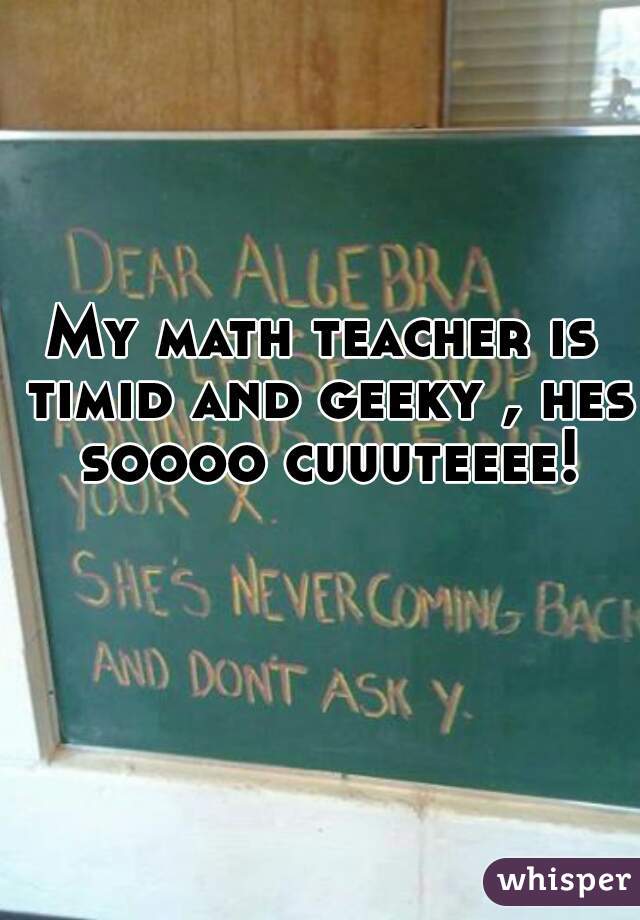 My math teacher is timid and geeky , hes soooo cuuuteeee!