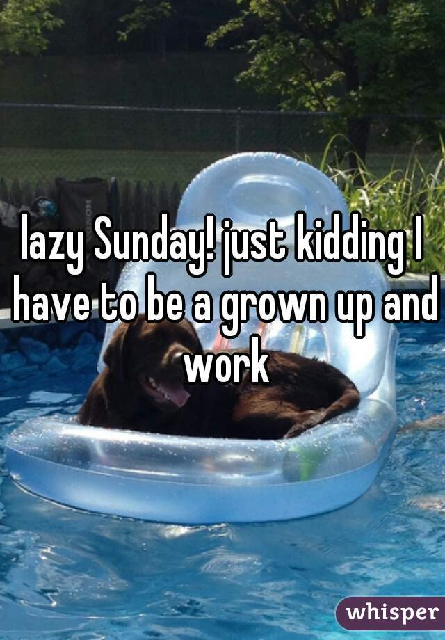 lazy Sunday! just kidding I have to be a grown up and work