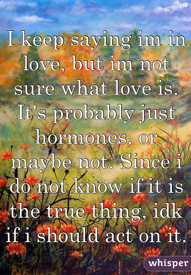 I keep saying im in love, but im not sure what love is. It's probably just hormones, or maybe not. Since i do not know if it is the true thing, idk if i should act on it. 