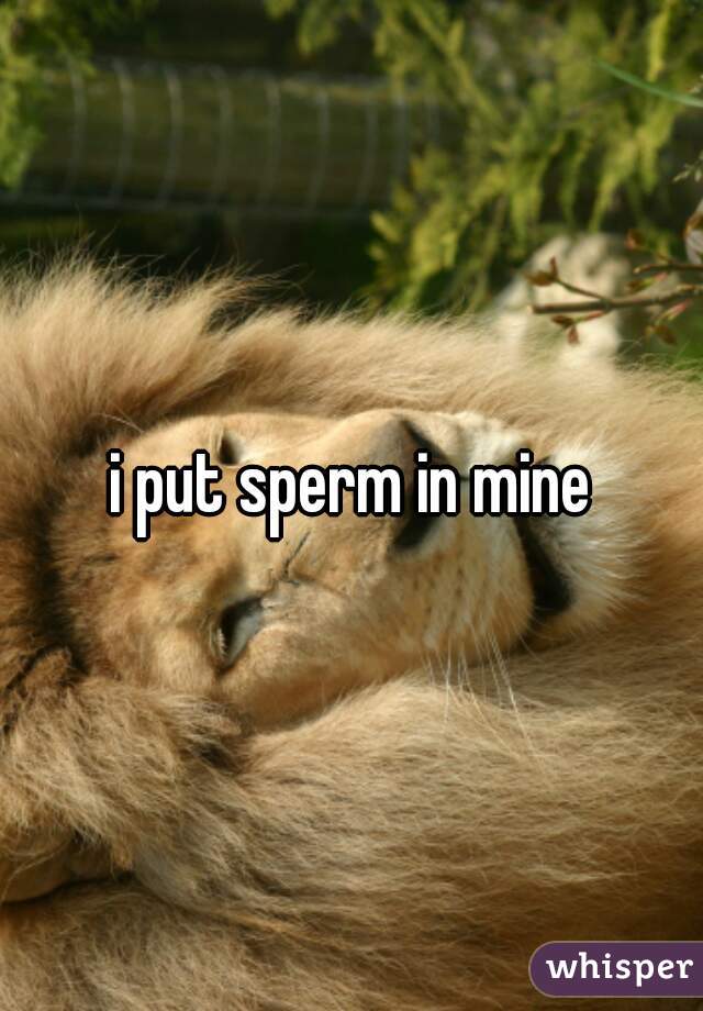 i put sperm in mine