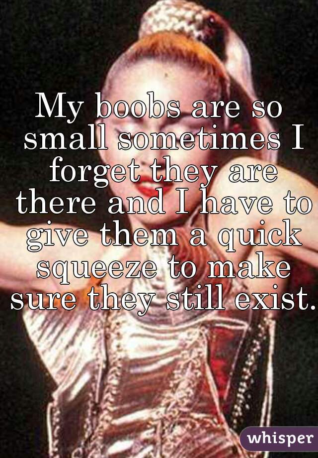 My boobs are so small sometimes I forget they are there and I have to give them a quick squeeze to make sure they still exist.   