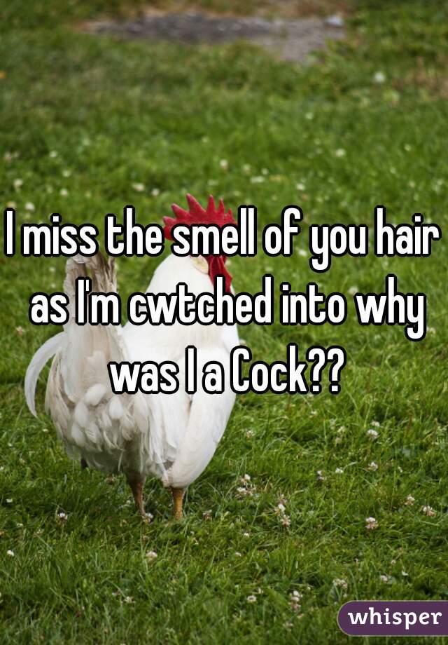 I miss the smell of you hair as I'm cwtched into why was I a Cock??