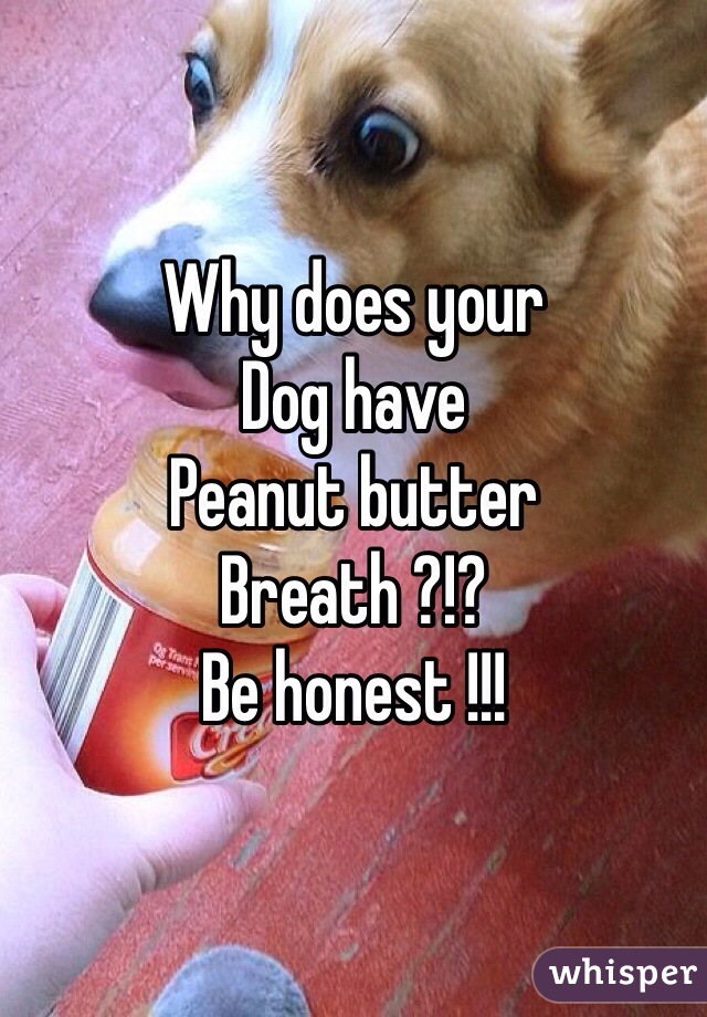 Why does your
Dog have 
Peanut butter
Breath ?!?
Be honest !!!