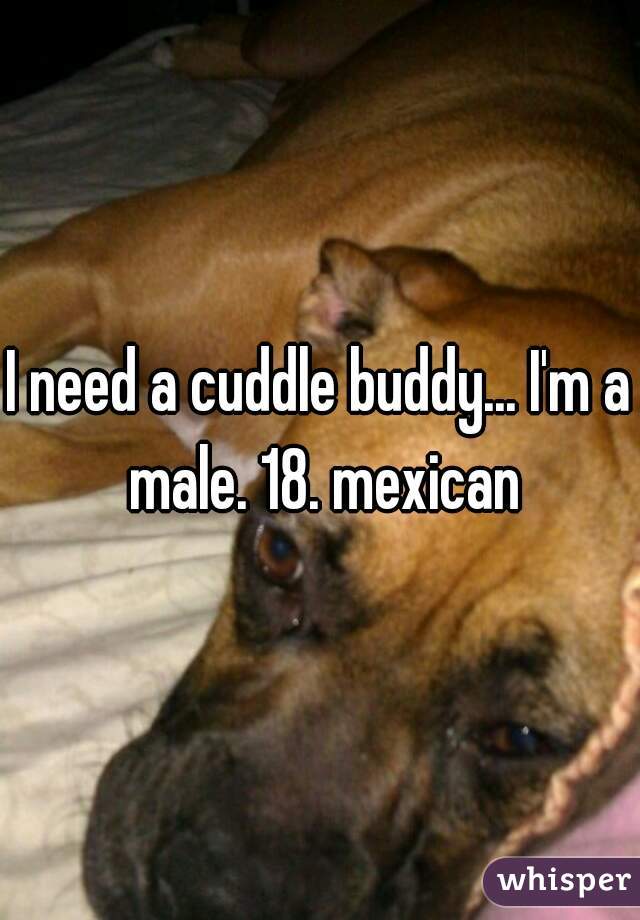 I need a cuddle buddy... I'm a male. 18. mexican