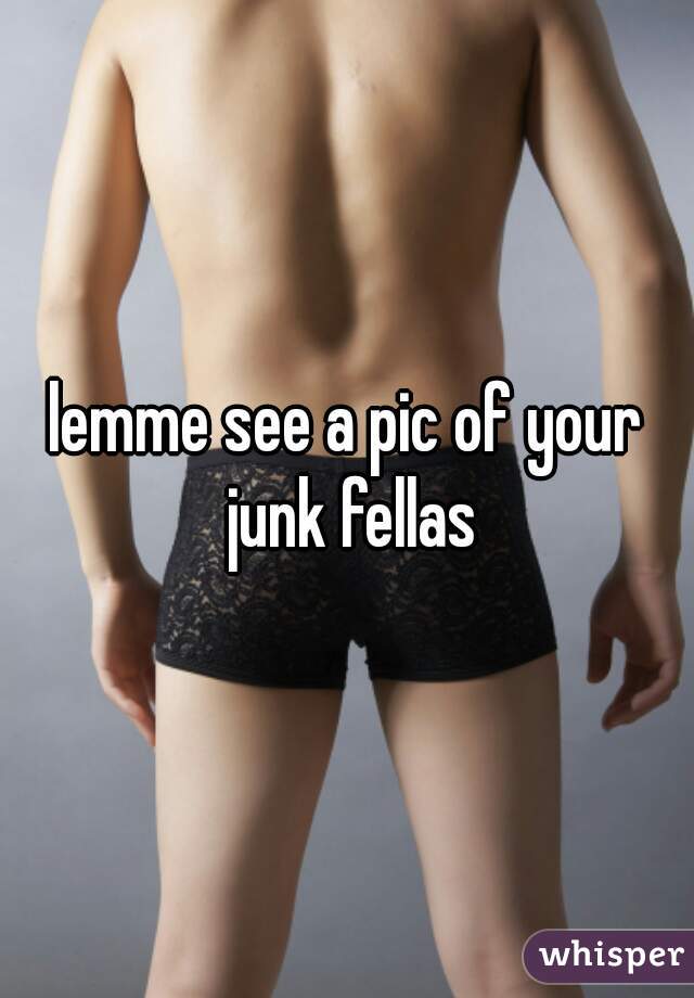 lemme see a pic of your junk fellas