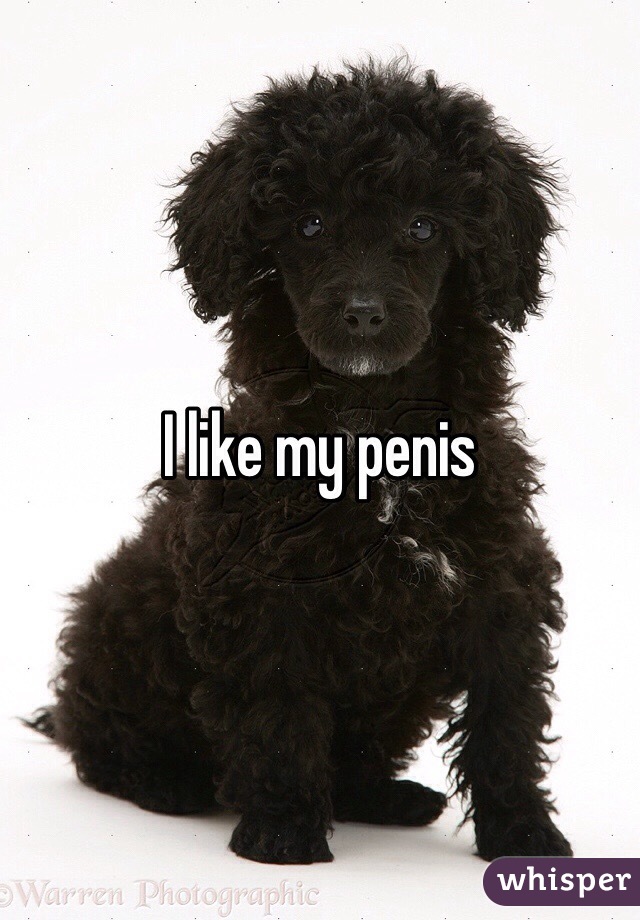 I like my penis