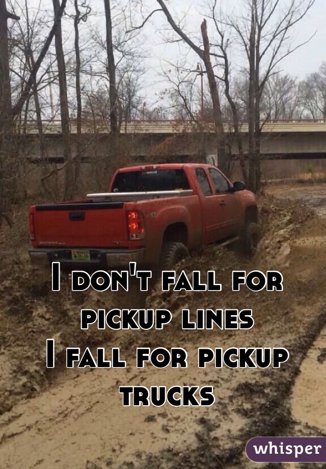 I don't fall for pickup lines 
I fall for pickup trucks 