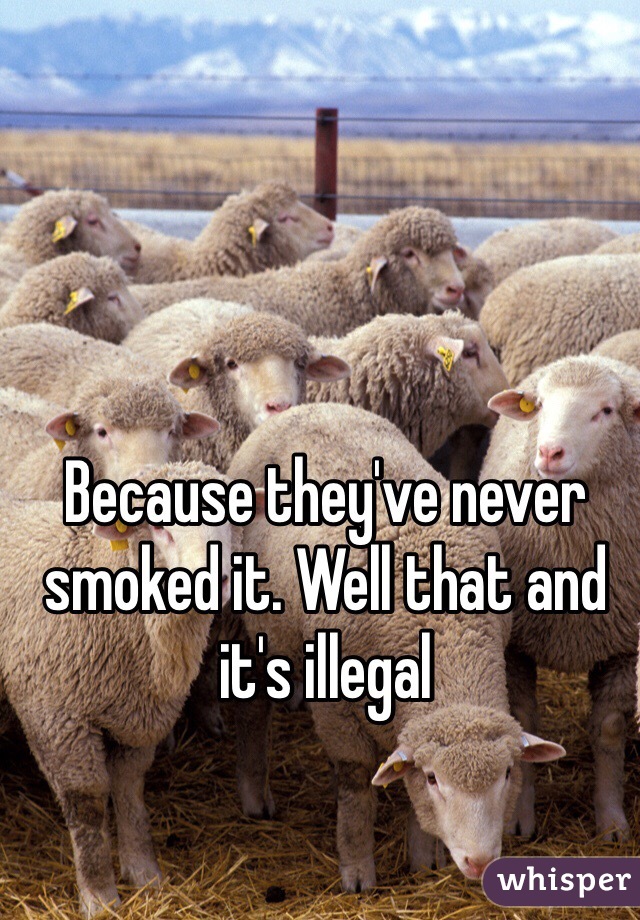 Because they've never smoked it. Well that and it's illegal 