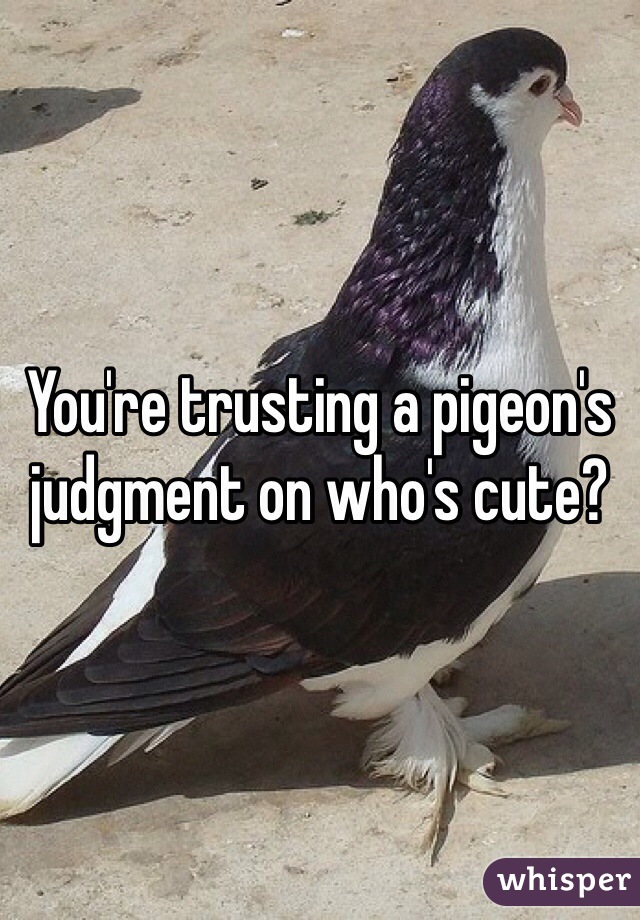 You're trusting a pigeon's judgment on who's cute?