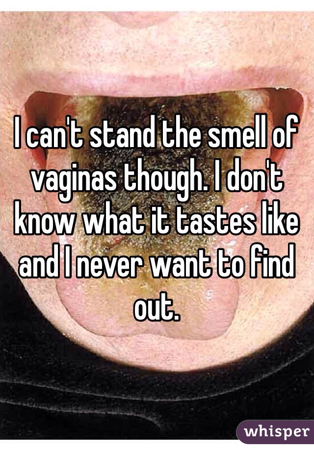 I can't stand the smell of vaginas though. I don't know what it tastes like and I never want to find out. 