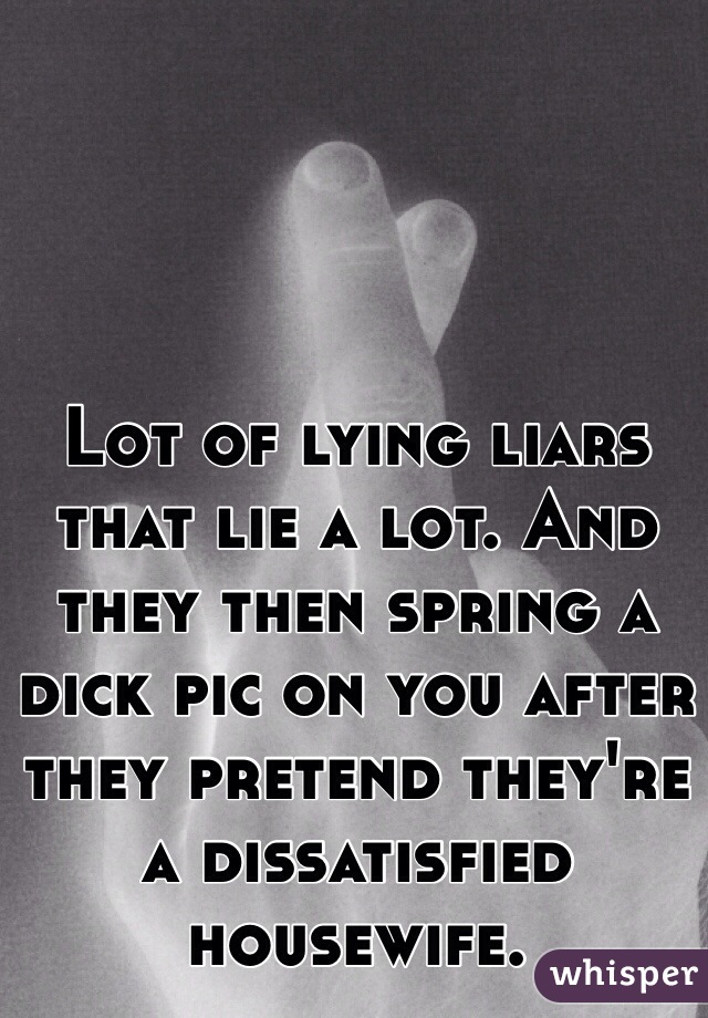 Lot of lying liars that lie a lot. And they then spring a dick pic on you after they pretend they're a dissatisfied housewife. 